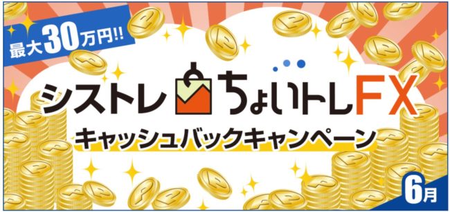 最大30万円のキャッシュバックキャンペーンを実施中