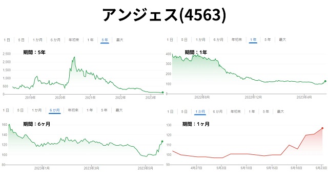 アンジェス(4563)