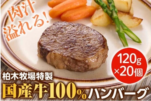 神奈川県 伊勢原市「[ジュワッと肉汁まで美味い！] 柏木牧場特製 国産牛100%ハンバーグ (120g×20個)」　紹介文